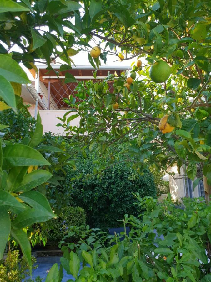 فيلا The Jasmine House بريفيزا المظهر الخارجي الصورة